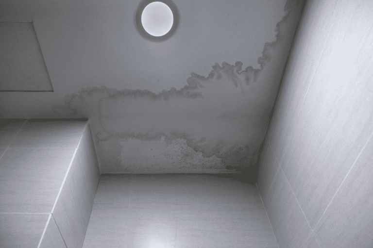 mold on ceiling